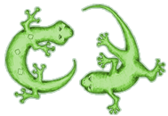 2Geckos logo